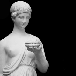  mg 4818 www 20101017