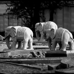  mg 7209 www 20101123