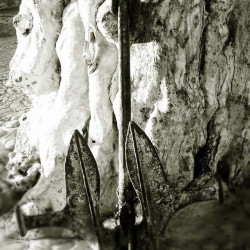 20051022170348 w 20110217