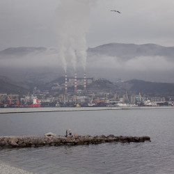  mg 1370 www 20100411