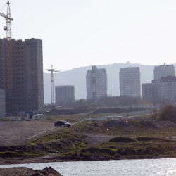  mg 1379 www 20100418