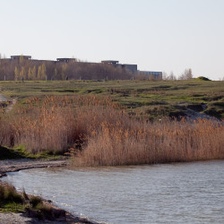  mg 1383 www 20100418