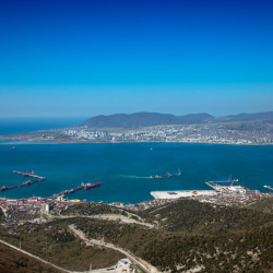  mg 1580 www 20100425