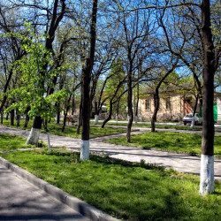  mg 1769 www 20100513