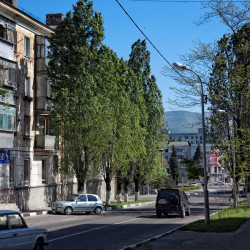  mg 1776 www 20100513