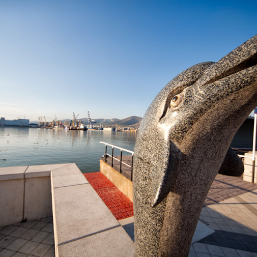  mg 4381 www 20100905