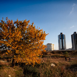  mg 6226 www 20101028