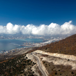  mg 7114 www 20101111