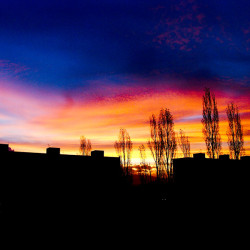 20041120082020 edit 2 www 20100401