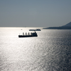 img 0439 www 20100529