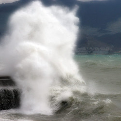 img 4771 www 20100213