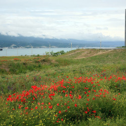 img 5698 www 20100211