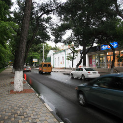 img 5780 www 20100213