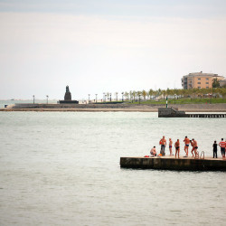 img 8503 www 20100213