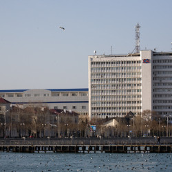 img 9514 www 20100209