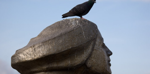 img 9844 www 20100213