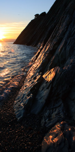 mr gibson 4 20100920