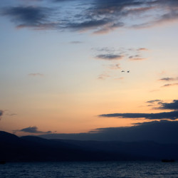 mr gibson 5 20100920