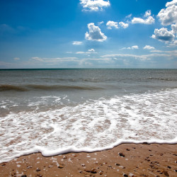  mg 4011 www 20100822