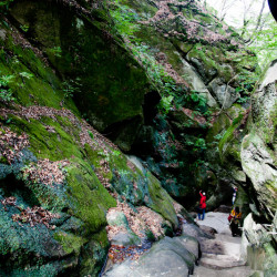  mg 4904 www 20101019