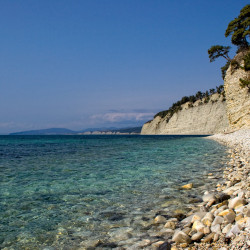  mg 6838 www 20100724