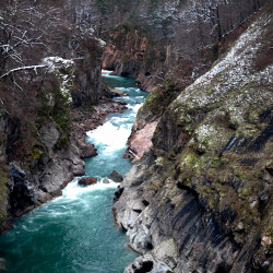  mg 7272 www 20110205