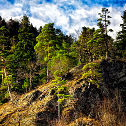  mg 7336 www 20110205