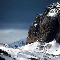  mg 7774 www 20110115