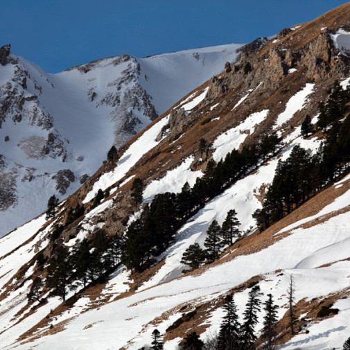  mg 7794 www 20110325