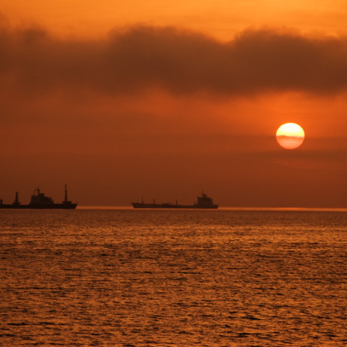  mg 8101 edit www 20100221