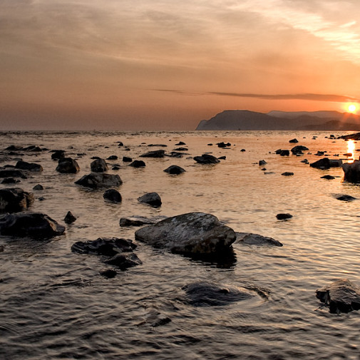  mg 8333 www 20110210