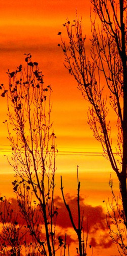 20041120082012 www 20100213