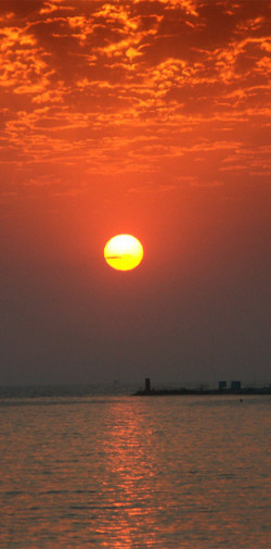 20050816191728 edit edit www 20100614