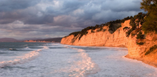 2027459 www 20100220