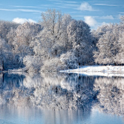 img 0302 www 20100516