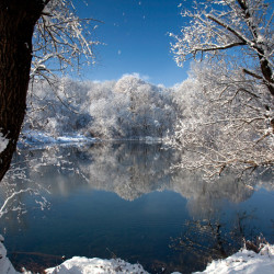 img 0315 www 20101217