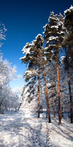 img 0320 www 20101218