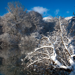 img 0322 www 20101218