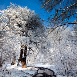 img 0374 www 20101230