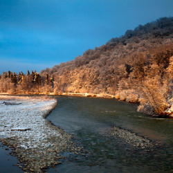 img 0420 www 20100812