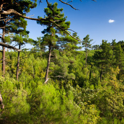 img 0450 www 20100529