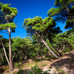 img 0475 www 20100529