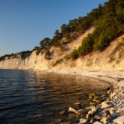 img 0494 www 20100529