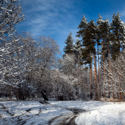 img 0518 www 20101218