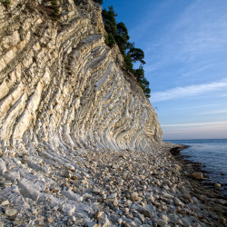 img 1191 www 20100529