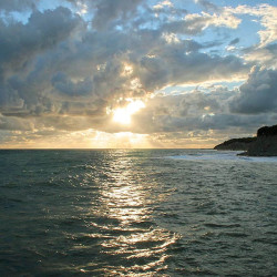 img 1307 www 20100219