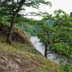 img 4876 www 20100519