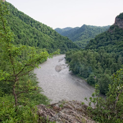 img 4879 www 20100519