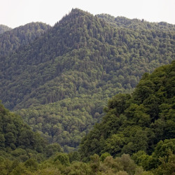 img 4907 www 20100519