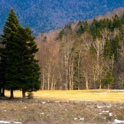 img 4911 www 20100606